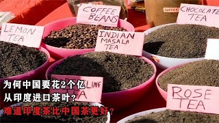 为何中国要花2个亿，从印度进口茶叶？难道印度茶比中国茶更好？