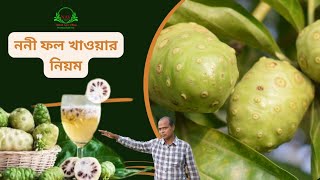 ননী ফল খাওয়ার নিয়ম | Eating rools of noni fruit | ননী ফল খাওয়ার সঠিক পদ্ধতি |  Agro Village