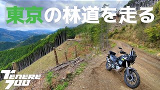 TENERE700] Riding TENERE700 on Tokyo's Forest Roads Okutama Town Hinode Town Akiruno City 73cafe