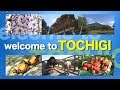 栃木欢迎你！（字幕：简体字 解说：普通话）【WELCOME  TO  TOCHIGI！】