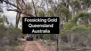 Beginner Fossicking Gold Queensland Australia 🇦🇺