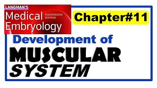 Langman Chapter#11 | Embryology of Muscular System | Embryology | Dr Asif Lectures