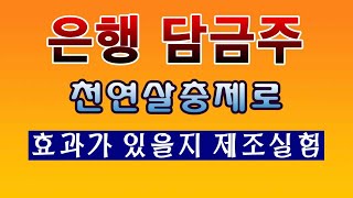 [텃밭농부. 1,235]  천연살충제 은행담금주 실험재조 소개 #은행 #천연살충제