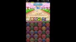 パズドラ【私立パズドラ学園】入学式　超青春　麒麟（サクヤ）PT