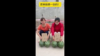 原来她俩是一伙的！