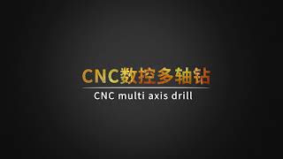 CNC数控多轴钻（CNC multi axis drill）