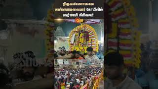 Tiruvannamalai | Annamalaiyar Temple | Girivalam | Devotees | Shorts | Sun News