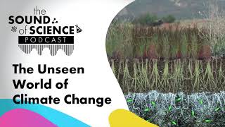 The Sound of Science - The Unseen World Of Climate Change
