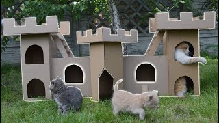 How to make Amazing Kitten  Pet House from Cardboard   |   How to make a cardboard house for a cat