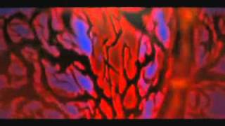 Hellsing Ultimate Evolution YouTube
