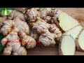 ldl and hdl cholesterol removal kannada burn cholesterol naturally cholesterol mane maddu