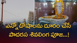 ఎన్నో దోషాలను దూరం చేసే పాదరస శివలింగ పూజ | Rahasyavaani