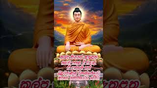 කල්ප සියයක් ඇතුළත ලොව පහළ වී වදාළ ඒ උත්තම සත් බුදුරජාණන් වහන්සේලාට නමස්කාර වේවා 🙏🙏🙏 #flute