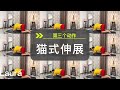 体态调整课｜4个动作改善圆肩驼背 头前引