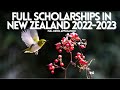 Study in New Zealand on Full Scholarships 2022-2023 | How to get New Zealand Scholarships in 2022-23