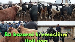 Oltariq tumani Eski Arab qishloģi chorva bozori semiz,Boqma va yosh  2.12.2022yil☎️+99833.781.14.04