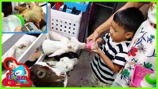 น้องบีม | ป้อนนมแพะ เที่ยวงานหาดทรายโพธาราม