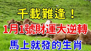 命中註定！風水大師蘇民峰：1月1號開始財運大逆轉，馬上就發的生肖！這4大生肖千萬要注意，把握發財機會，千載難逢！【帝王改命學】