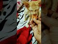 മോനെ നീ കഴിച്ചോ അമ്മച്ചി ഉണ്ടാക്കിയ ആണ് 🥰🥰 cat catcomedyvideo viral