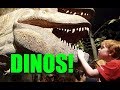 🦎 What Big TEETH you HAVE! - DINOSAUR Museum Adventure! 🦎