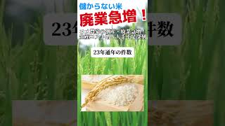 【農業】コメ農家、倒産・廃業が急増！ #農業 #ニュース #news #米 #米騒動 #食事 #食料備蓄 #食料危機 #農家 #水田 #田んぼ #稲刈り