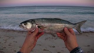 Busting the Winter Blues with a Chunky Tailor!