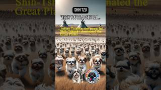 Shih Tzu Great Plains Stampede! #shorts Puppisodes AI Dog