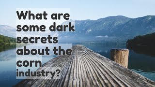 What are some dark secrets about the corn industry