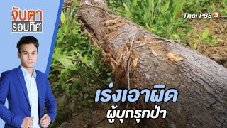 เร่งเอาผิดผู้บุกรุกป่า | จับตารอบทิศ | 25 ม.ค. 66