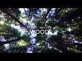 Mac Miller - Woods [528 Hz Heal DNA🧬, Clarity & Peace of Mind]