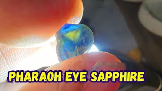 Pharaoh Eye Sapphire | Outback Sapphires Mining in Australia