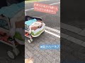 盲導犬引退犬のおさんぽ shorts 盲導犬 引退犬