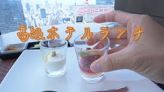 【コスパ最強】眺めが最高な高級ホテルでランチ！ // Lunch at Luxury Hotel in Tokyo -ホテルメトロポリタン丸の内(Hotel Metropolitan)