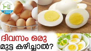 Egg ദിവസം ഒരു മുട്ട കഴിച്ചാൽ?