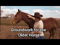 Ground work for the older horse