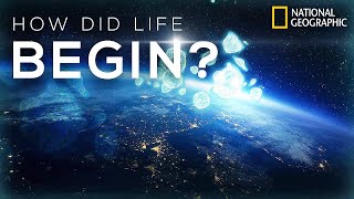 National Geographic - How Life Began | Science Documentary
