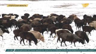 Жители села Кызыл-Тобе Мангистауской области ждут новый водопровод