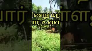 85 சென்ட் விவசாய நிலம் விற்பனைக்கு