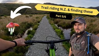 Part 5 // Exploring New zealand's south island // moke lake loop