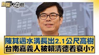 陳其邁水溝長出2.1公尺高樹 台南嘉義人被賴清德看衰小？ 【新聞大白話】20241018-2｜黃揚明 張禹宣 謝龍介