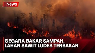 GEGER! Kebakaran Hebat di Lahan Sawit Bogor, Jawa Barat