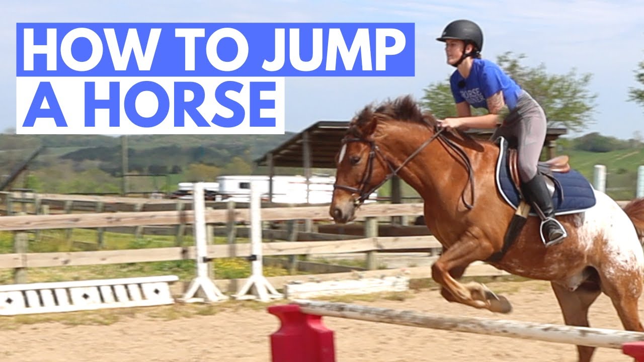 HOW TO JUMP A HORSE (easy Beginner Guide) - YouTube