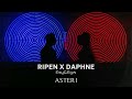 ripen x daphne lawrence asteri official audio release