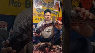 Rohu fish cutting|Rohu fish cutting skills|Rohu fish cutting kalkata|California fish grill|