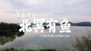 “箫遥游”即兴系列第一首《北冥有鱼》｜Traveling with a Xiao flute