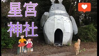 星宮神社(下野市)