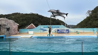 【完全版】下田海中水族館「マリンファンタジー」全編動画！イルカショー＆アシカショー！