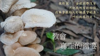 靈修:教會-真正的需要 20240529