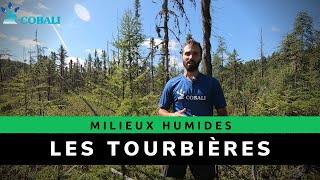 Mieux connaître et identifier les milieux humides - Les tourbières