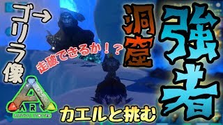 【スマホ版ARK】カエルと挑む、強者の洞窟マラソン！ビビり散らかしながらも走破できるか…？【アークモバイル】【実況】#26